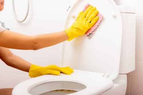 cleaning services Lunenburg